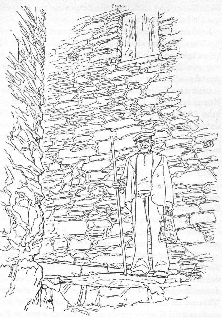 Zeichnung: Friedrich Meinhard Zeichnung: Friedrich Meinhard