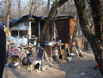 Budapest 2008, im Wald 1 - Foto: Stefan Schneider